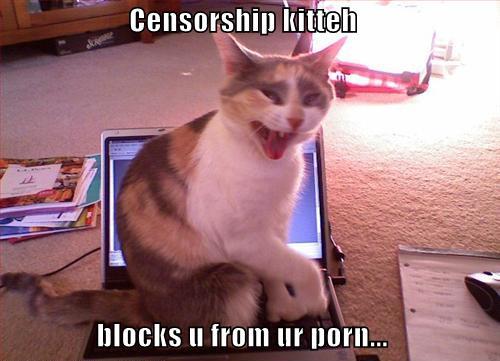 censorshipkitte128572684266860445_2.jpg