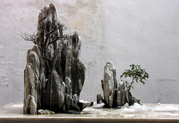 chinese_rock_garden.jpg