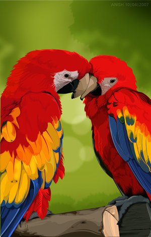 colorful_Parrots_by_iamgraphik.jpg