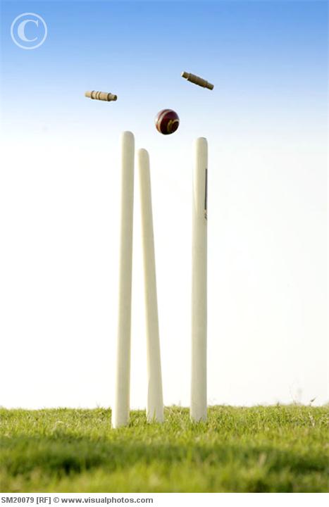 cricket_ball_hits_the_wickets_sm20079.jpg