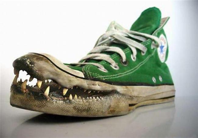 croco_shoes.jpg