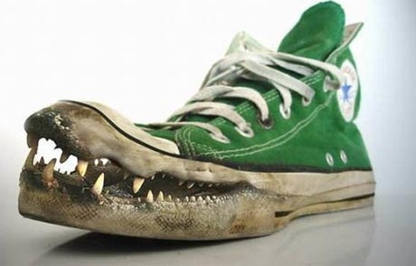 crocodile_shoes.jpg