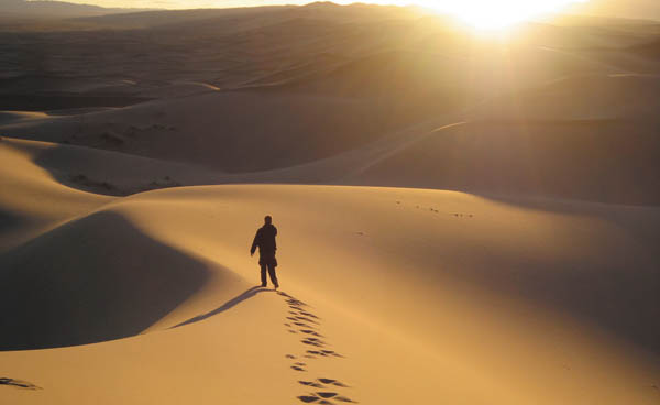 desert_walk.jpg