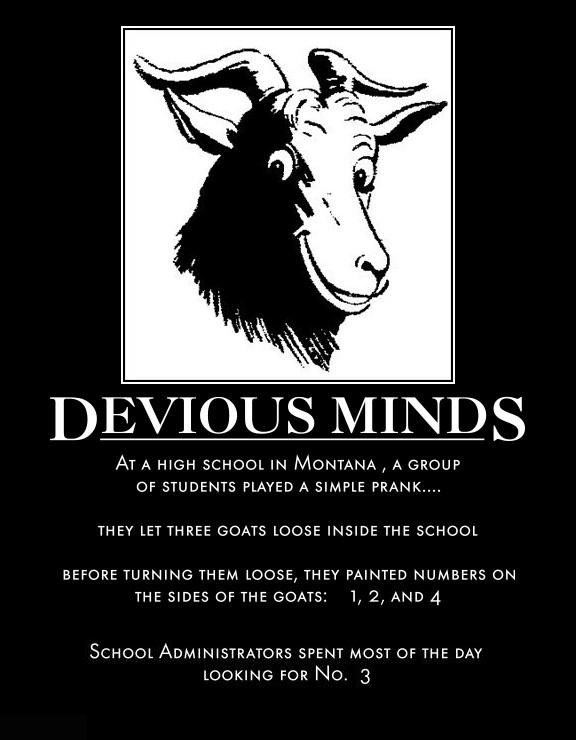devious_minds_.jpg