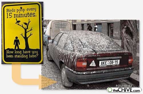 dirty_car.jpg