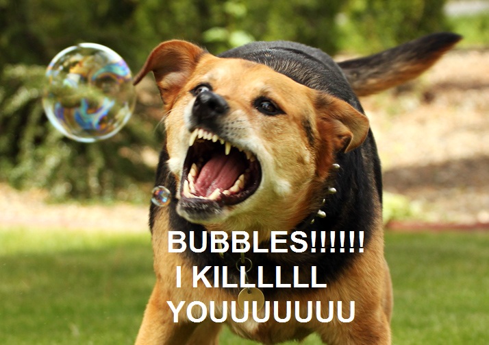 dog_biting_bubbles.jpg