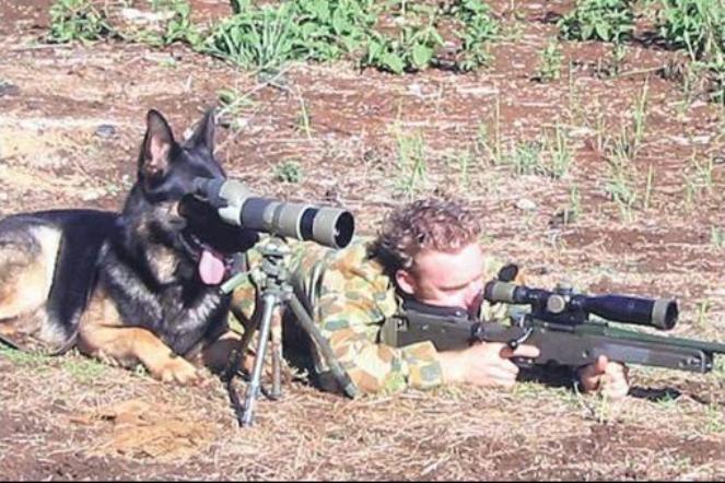 dog_soldier_teamwork.jpg