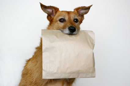 doggie_bag_resized_600.png