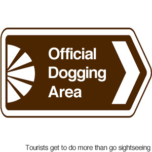 dogging_002.jpg