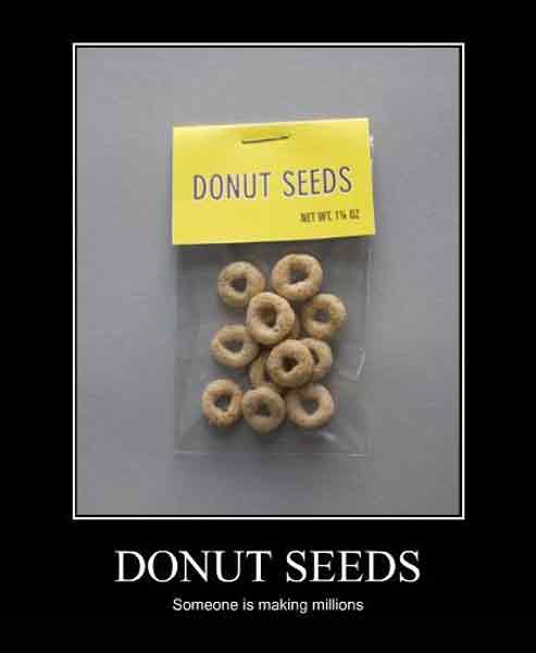 donut_seeds_w.jpg