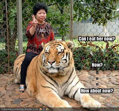 eat_a_tiger.jpg