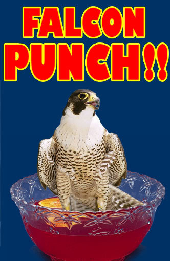 falcon_punch.jpg