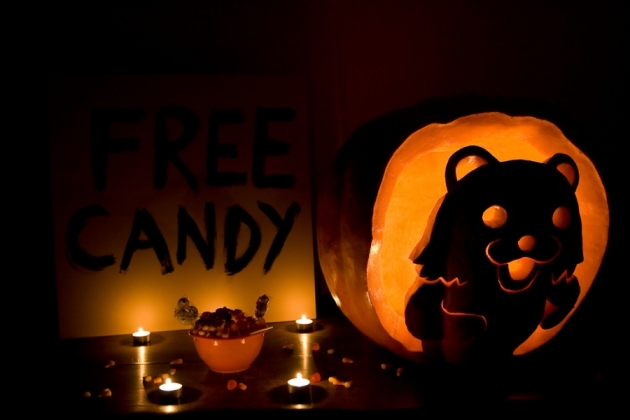 free_candy_pedo_bear_pumpkin_1.jpg