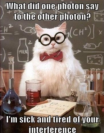funny_pictures_animal_memes_chemistry_cat_take_a_photon_itll_last_longer1.jpg