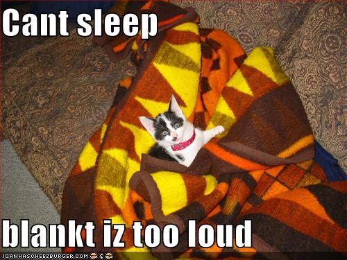 funny_pictures_cat_blanket_too_loud.jpg