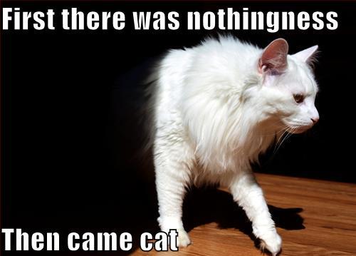 funny_pictures_cat_comes_out_of_nothingness.jpg