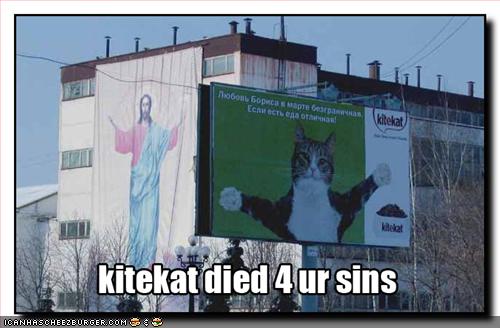 funny_pictures_cat_sign_jesus.jpg