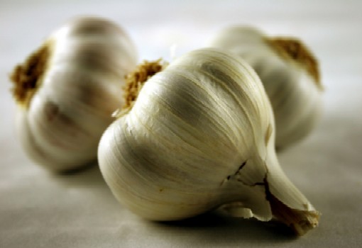 garlic.jpg