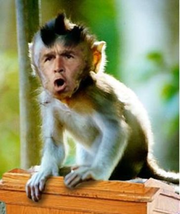 george_bush_monkey_4.jpg