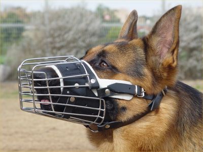 german_shepherd_wire_basket_padded_muzzle_1_LRG.jpg