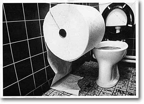 giant_toilet_roll_bathroom_jokes_photographs_1.jpg