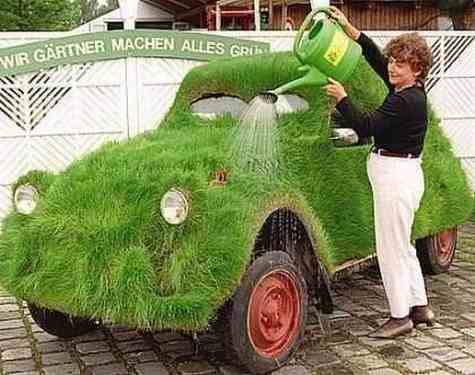 grass_car.jpg