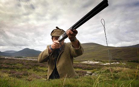 grouse_shooting_sea_789236c.jpg