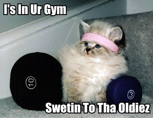 gymcat.jpg