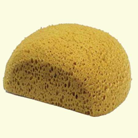 half_moon_sponge1.jpg