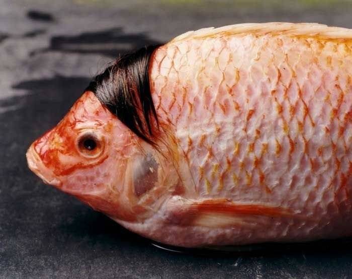 hitler_fish.jpg