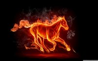 horse_fire_wallpaper_1440x900_thumb.jpg