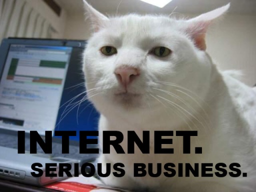 internet_serious_business_cat.jpg