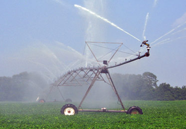 irrigation.jpg