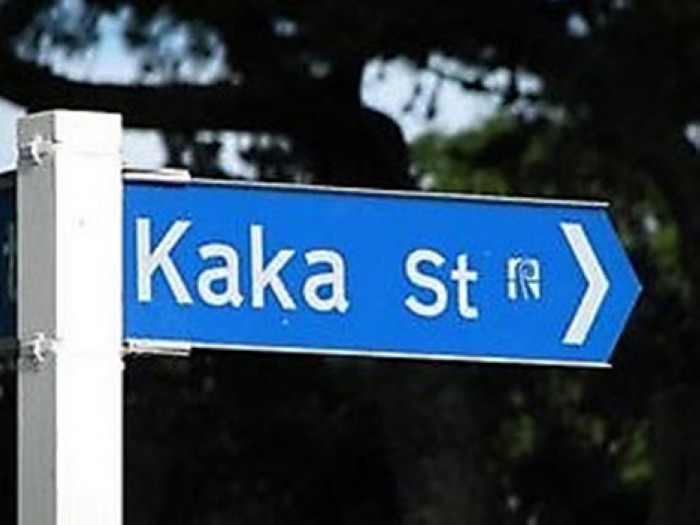 kaka__street___translated_street__manofestcom.jpg