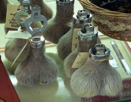 kangaroo_scrotum_souvenirs.jpg