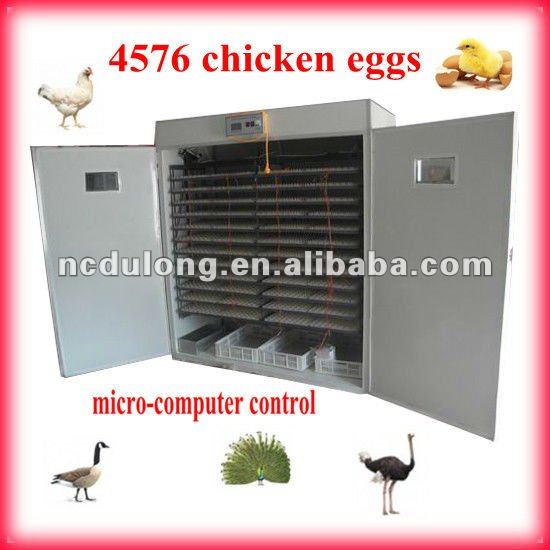 kerosene_incubator_the_newest_4576_chicken_eggs.jpg