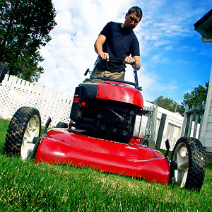 lawnmower1.jpg