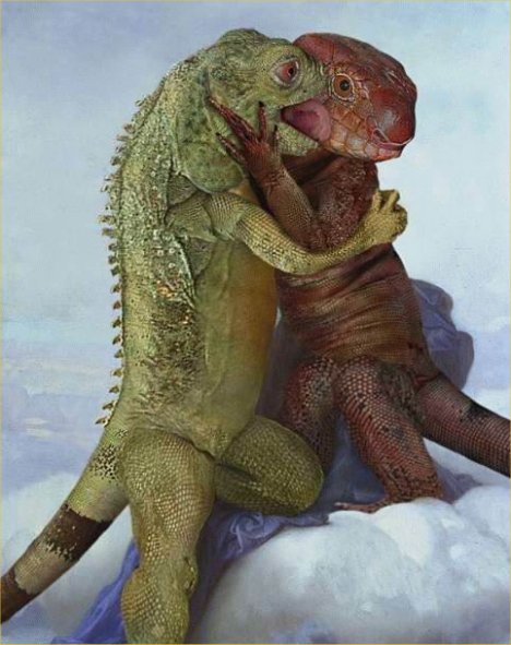 lizards_in_love.jpg