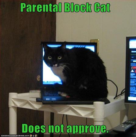 lolcat_funny_picture_parental_block_cat.jpg