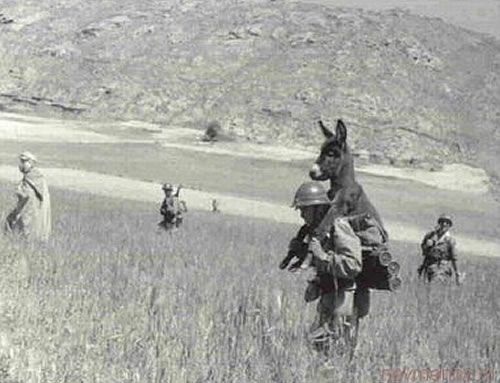 man_carrying_donkey.jpg