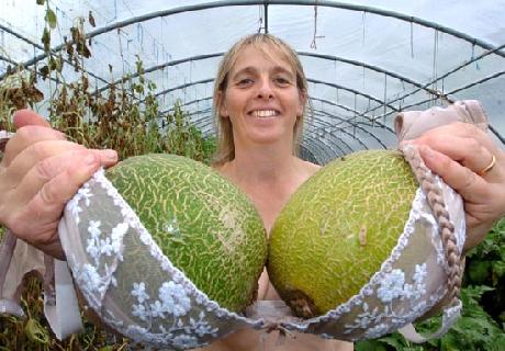 melons1.jpg