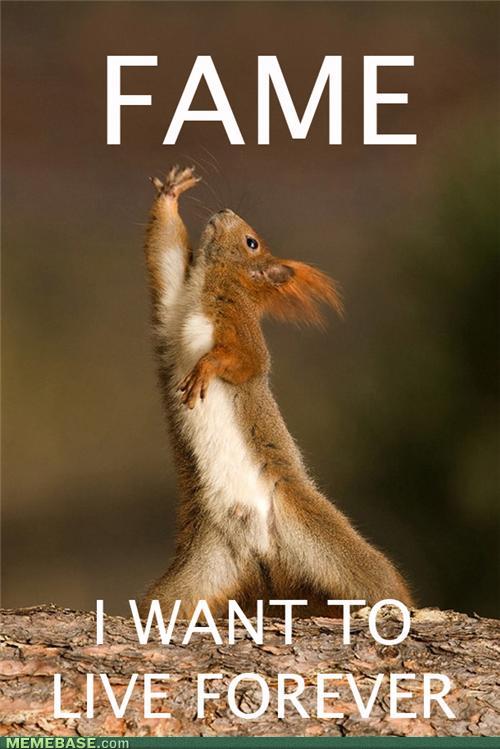 memes_fame_squirrel.jpg