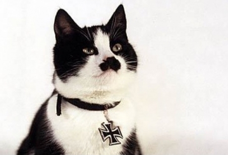 motivator25e55d6b91f4bb1aad670becf7ca891d9d4ba921_Hitler_cat_s750x600_66907_580.jpg