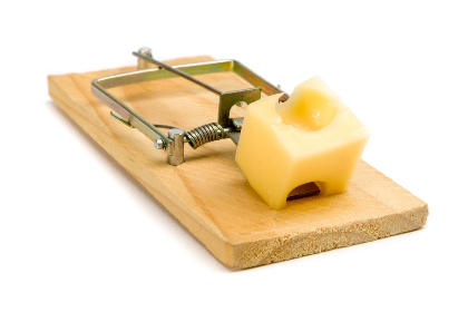 mousetrap_1.jpg