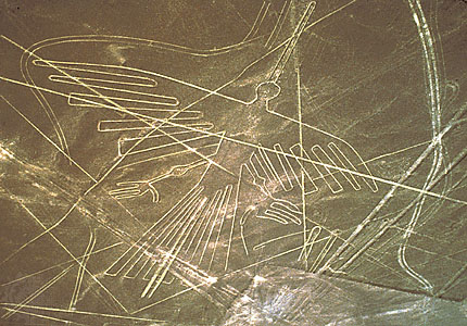 nazca_condor_1.jpg