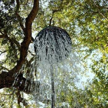 outdoor_tree_shower.jpg