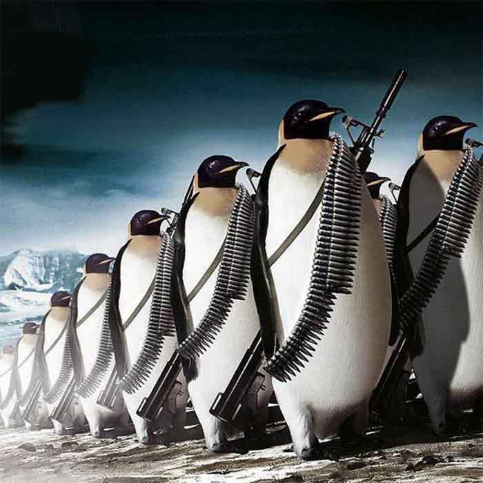 penquins_001.jpg