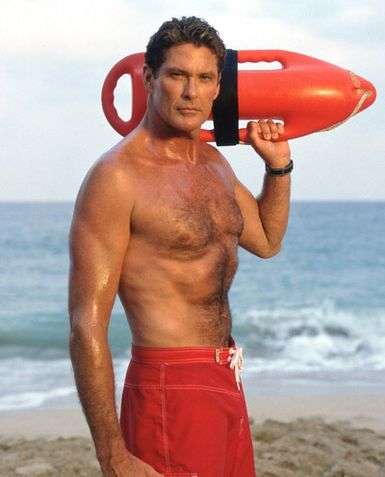 personalized_celebrity_posters_signed_poster_of_the_hoff.jpeg