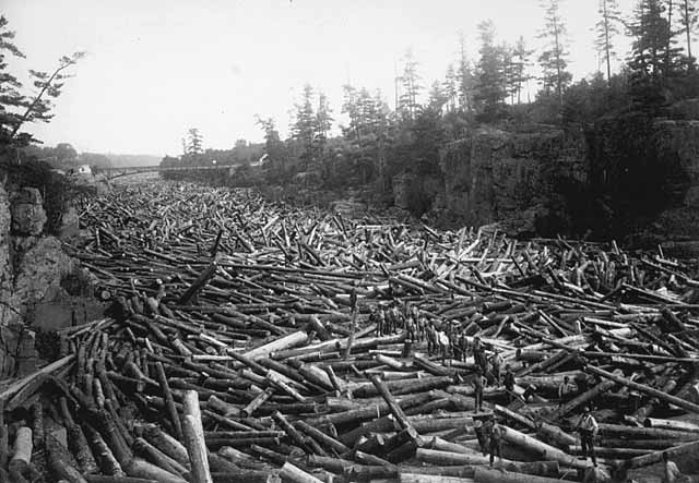 pf010936logjam1.jpg