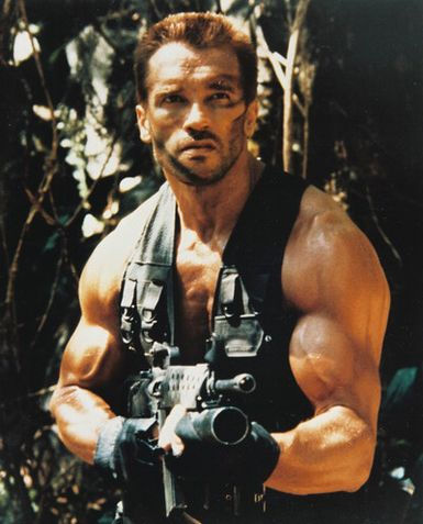 predator_arnold.jpg